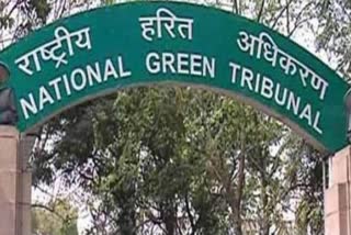 NGT issued order