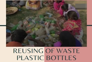 Forest department reuses waste plastic bottles to plant, grow saplings