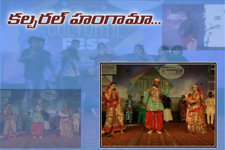 cultural fest at visakha IIAM collage