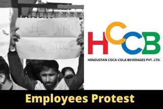 HCCB employees protest after company decides to shut down