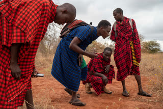 Tanzania lions  Maasai  Saving lions  African lions  Loibor Siret  മസായ്‌ മാര  മസായ്‌ മാരയിലെ സിംഹങ്ങൾ  സിംഹ സംരക്ഷണം  ടാന്‍സാനിയ  ആഫ്രിക്കന്‍ പീപ്പിൾ ആന്‍ഡ് വൈല്‍ഡ്‌ലൈഫ്