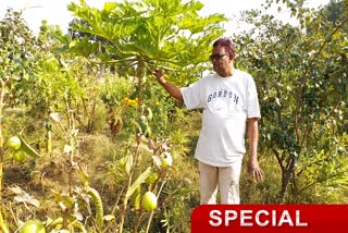 Organic and mixed farming in Lohardaga