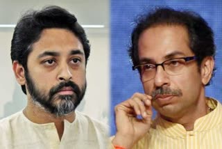 Nilesh Rane comment CM Uddhav Thackeray