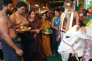 gopuja by ayyappa swamy at khammam