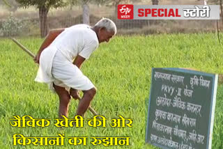 organic farming in Rajasthan, Farmers organic farming