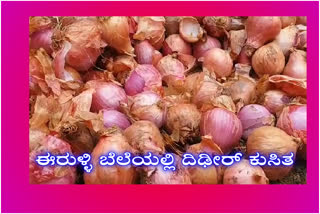 Farmers outrage in Vijayapura