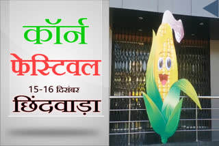 State level corn festival will be celebrated in Chhindwara