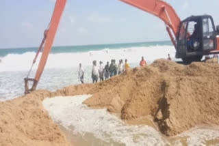 The work of the Pulivekadu Estuary