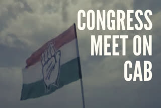 Congress parliamentary strategy group meet over CAB  ദേശീയ പൗരത്വ ഭേദഗതി ബില്‍  സോണിയാഗാന്ധി