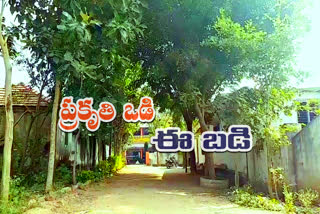 http://10.10.50.sangampalli govt school is Ideal school for all government schools 85:6060///finalout4/telangana-nle/finalout/09-December-2019/5315344_school.mp4