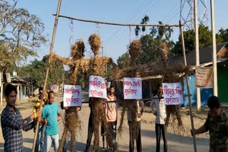 hang on protest in all over assam against cab