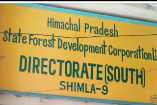 forest development corporation