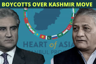 Pak FM boycotts Indian Minister's speech at Istanbul meet