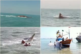 Gujarat coast  Boat  Fishermen missing  ബോട്ട് മുങ്ങി മരിച്ചു  കാണാതായി  ഗുജറാത്ത് തീരം  latest news updates