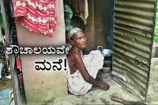 ಶೌಚಾಲಯದಲ್ಲೇ ವಾಸಿಸುತ್ತಿರುವ ಬುಡಕಟ್ಟು ವಿಧವೆ, tribal woman has been living in a toilet in Odisha