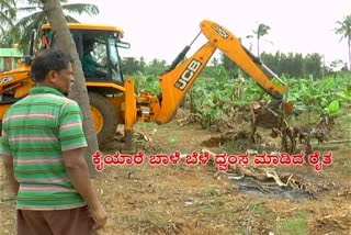 The Kolar District banana growers is facing difficulties