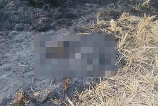 burn deadbody of women found in nagpur