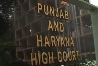 punjab and haryana high court