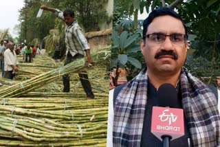 Sugarcane farmers issue