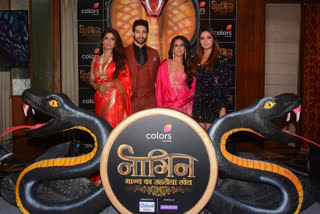 Naagin 4 stars reveal details of their roles at launch event