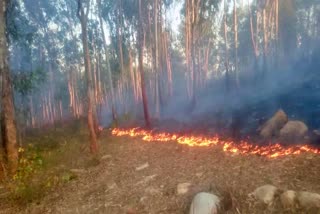 drone-surveillance-in-bandipur-forest-fire