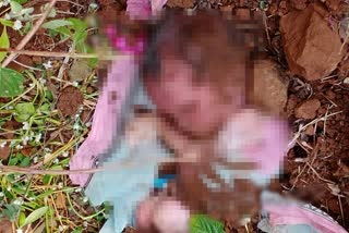 dead infants found at dharani melghat