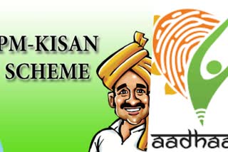 pm kisan