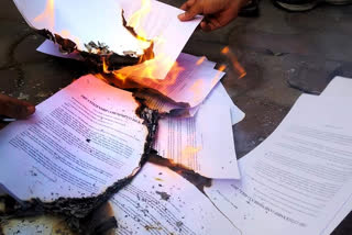 by burning CAB copy Jadavpur And Presidency university Students show their protest