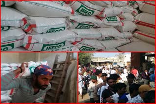 1300-metric-tons-of-urea-fertilizer-allotted-to-farmers-in-mandsaur