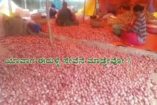 Onion price