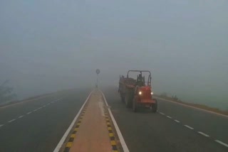 fog and cold effect in Dhaulpur, धौलपुर में कोहरा और सर्दी