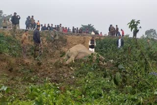 Two elephants have been killed after being hit by a passenger train near Batasi in Darjeeling, earlier today.