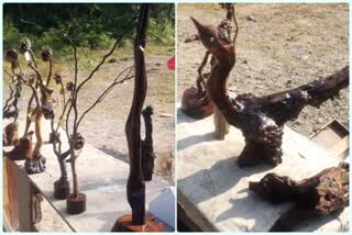 driftwood work by two brothers in nahan