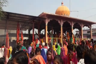 Thousands of women reached Rojanghedi sehore for worship bhilat baba