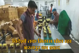 Bharatpur Honey production, भरतपुर का शहद