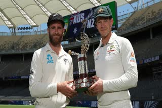 ടിം പെയിന്‍ വാർത്ത  tim paine news  Australian cricket team for test news  aus vs nz team news  ഓസ്‌ട്രേലിയന്‍ ക്രിക്കറ്റ് ടീം വാർത്ത