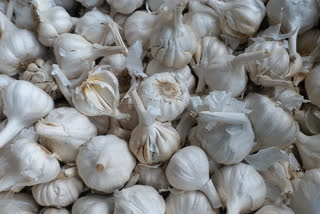 garlic-prices