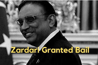 Pak President Asif Ali Zardari granted bail