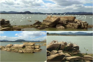 Amani Byrasagara Lake at Chikkaballapur