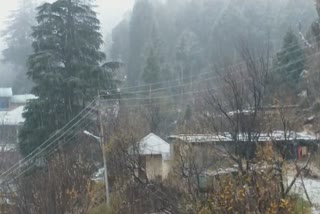 Rain and snowfall started in Kinnaur