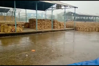 Thousands of paddy kept wet at procurement centers due to rain