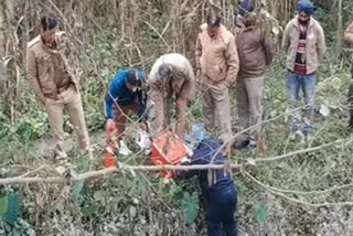 doiwala burnt body found , डोईवाला युवक का शव बरामद समाचार