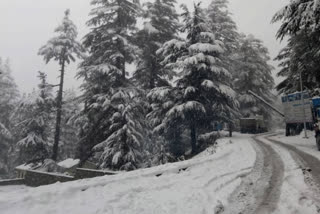 chamoli snowfall