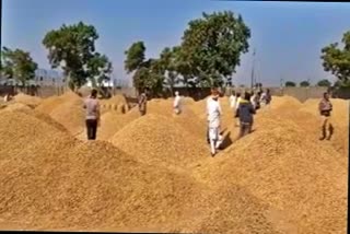 Jamjodhpur market yard