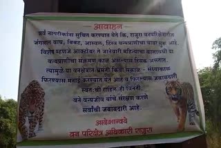 chandrapur jogapur pilgrimage news