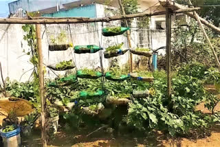 farming in plastic bottles