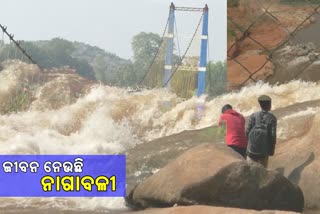 nagabali river,  rayagarda tourist place, nagavali the curse for tourist, ନାଗାବଳୀ ନଦୀର ଝୁଲାପୋଲ, ପର୍ଯ୍ୟଟକଙ୍କ ପାଇଁ ଅଭିଶାପ ନାଗାବଳୀ ନଦୀ, ରାୟଗଡା ଖବର