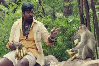 vijay sethupathi starrer Kadaisi Vivasayi movie trailer released
