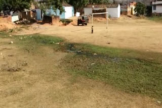 Encroachment net on stadium ground