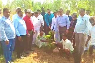 HARITHA HARAM  PROGRAM IN KAMAREDDY AMBARIPET